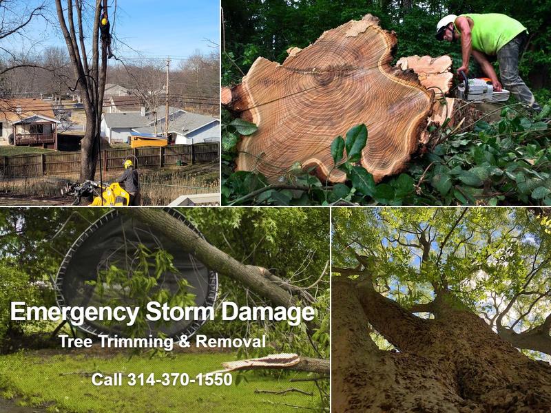 Clipper Tree & Landscape, Inc.