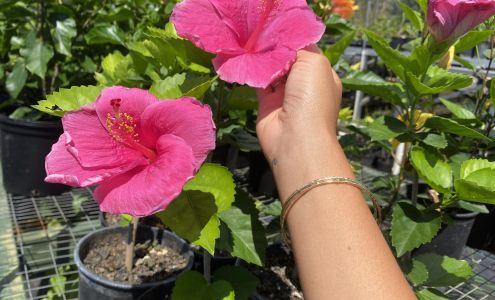 'Ili Kūpono Gardens Nursery & Farm