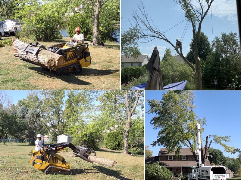 Arbor Tek Landscape Services Inc