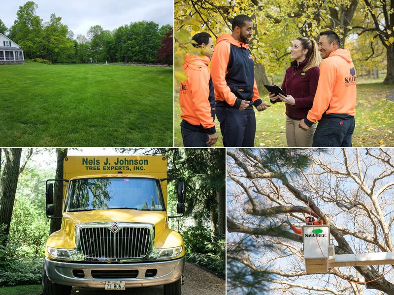SavATree - Tree Service & Lawn Care