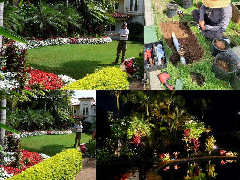 Paradise by Design Landscaping Inc.