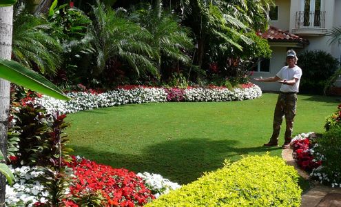 Paradise by Design Landscaping Inc. 1813 Paula Dr, Honolulu Hawaii 96816