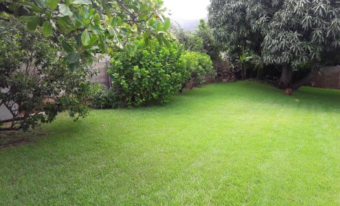 Kula's Landscaping 3014 Gulston St, Honolulu Hawaii 96816