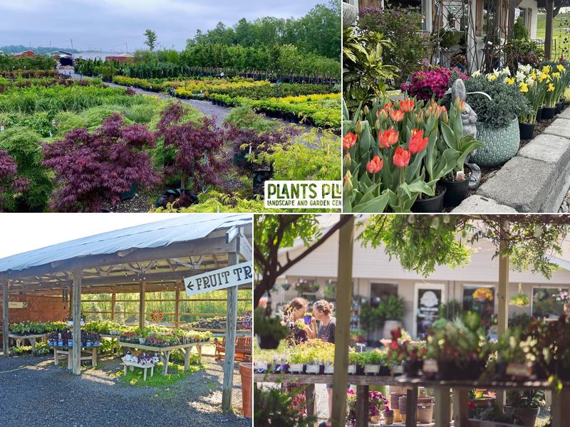 Plants Plus Landscape and Garden Center