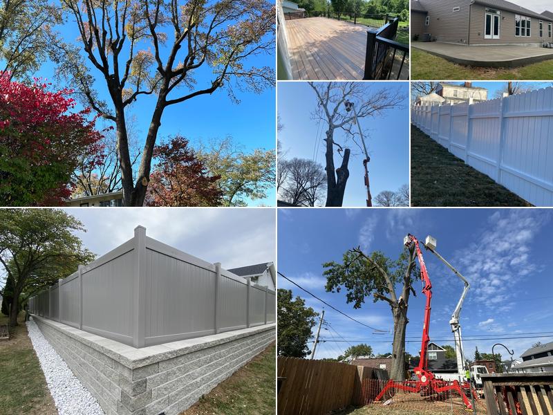 Accurate Tree & Landscaping Services