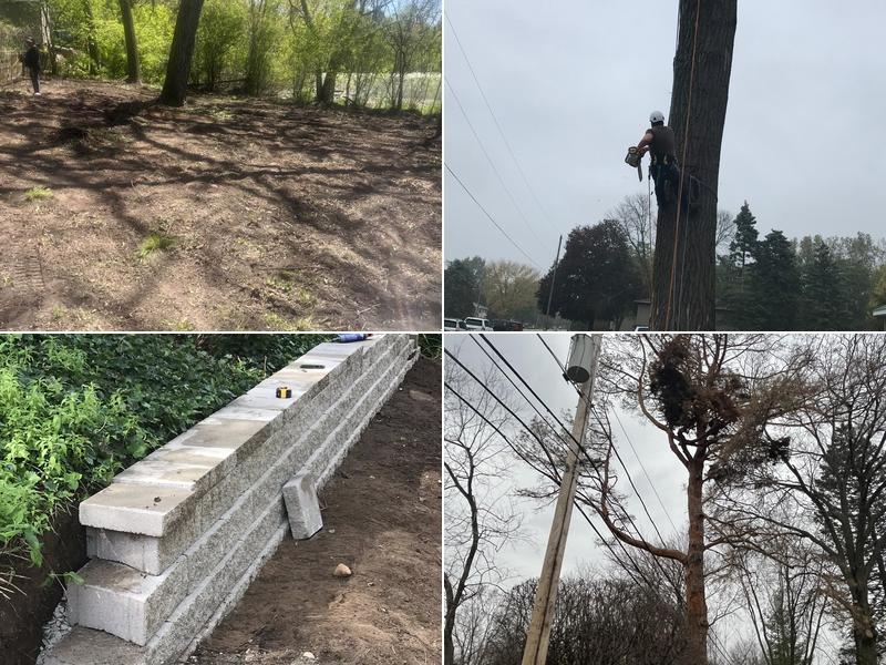 Nicholas Tree Care & Lanscape