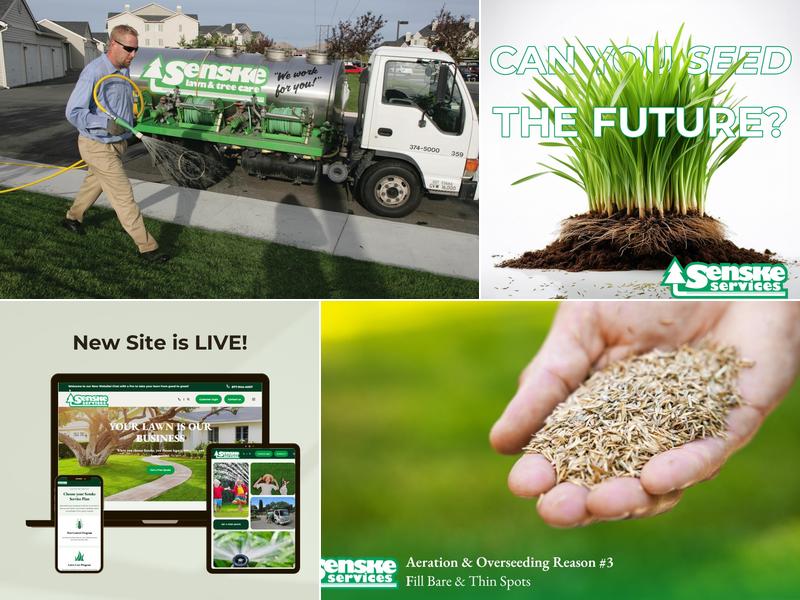 Senske Services - Clarkston