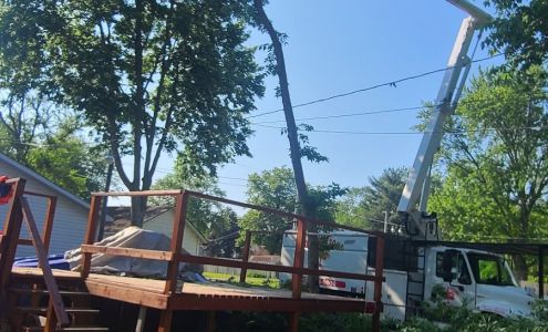 Four Seasons Tree Care, Inc.