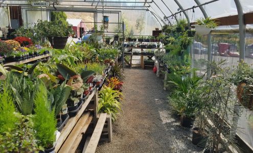 SYG Nursery & Landscaping inc.