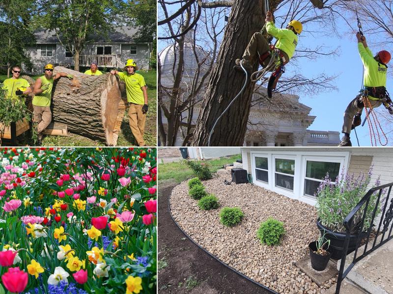Boley Tree & Landscape Care Inc