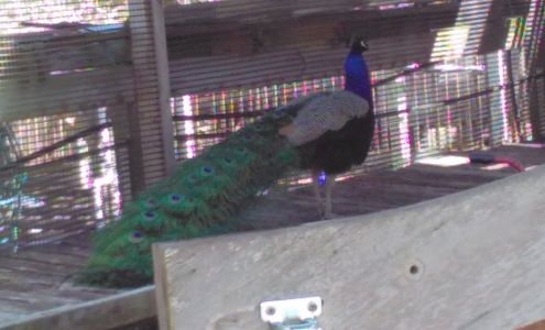 Hillside Gardens 12100 N St Joseph Ave, Darmstadt Indiana 47720