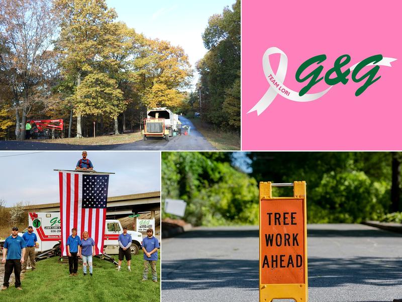 G & G Lawn Care & Tree Service