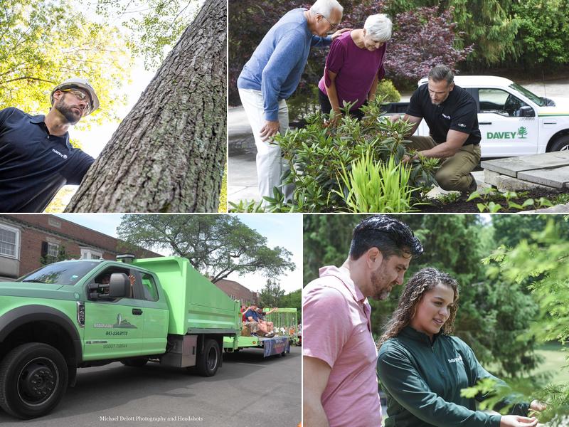 The Davey Tree Expert Company