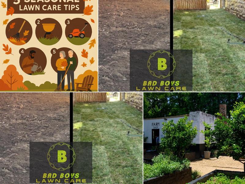 Bad Boys Lawn and Landscaping