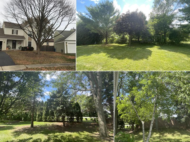 Herrera's Tree Services