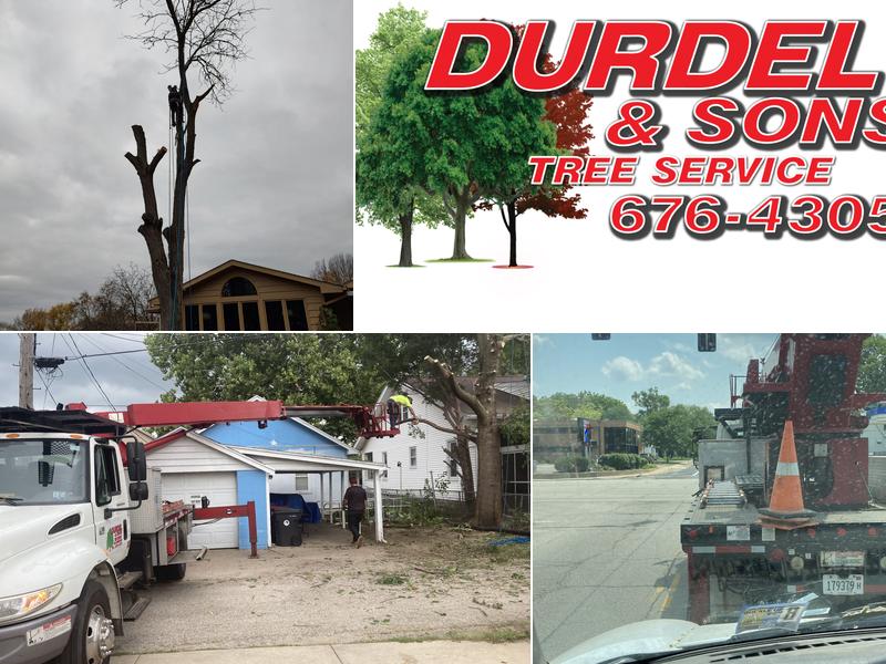 Durdel & Sons Tree Service