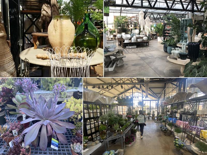 City Escape Garden Center and Design Studio