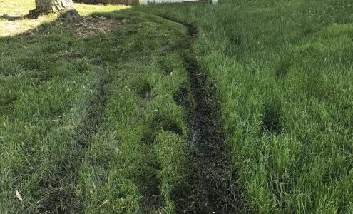 Fernando's Landscaping 1N444 Forest Ave, Glen Ellyn Illinois 60137