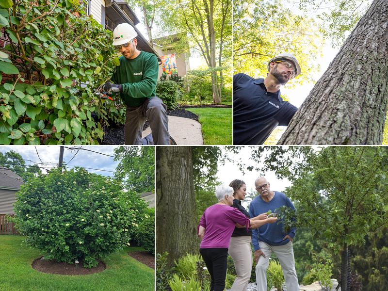 The Davey Tree Expert Company