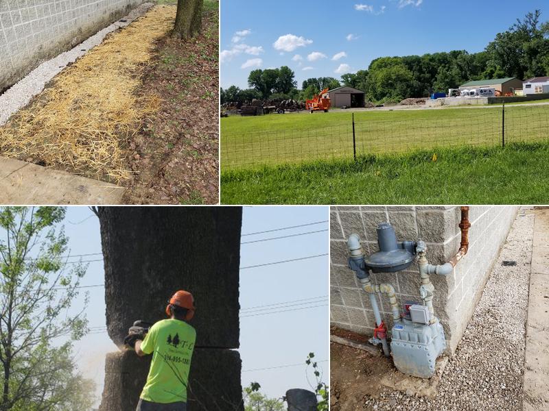 T & L Tree Services Inc