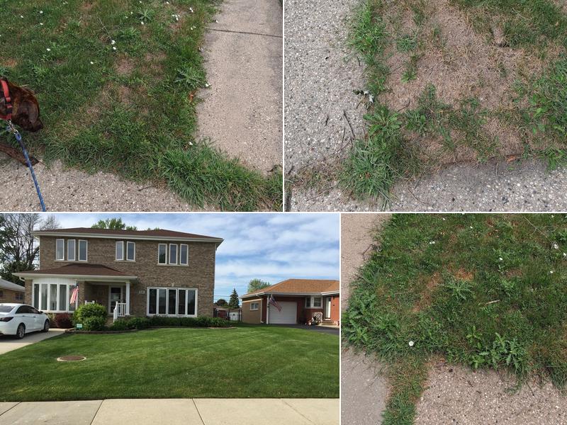 Perfect Lawn and Snow Removal