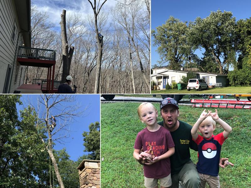 Poertner & Sons Tree Service, LLC