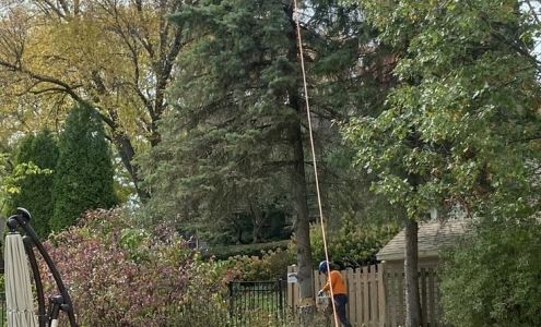 Phoenix tree services