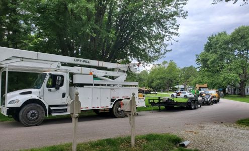 Elite Tree Services & Property Managament LLC