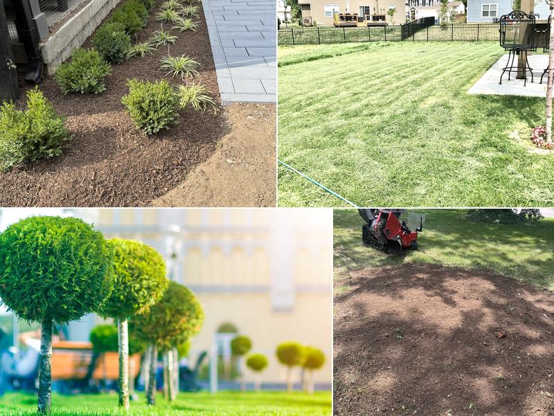 Munguia’s Tree Services & Landscaping