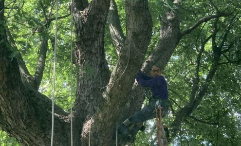 Edgar's Tree Services