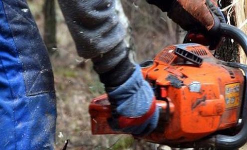 Jimmy's Tree Service