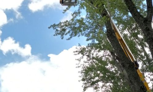 Dirtline Demolition & Tree Service LLC 260 Powell St, Macy Indiana 46951