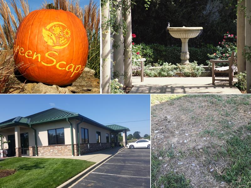 GreenScapes Lawn and Landscaping