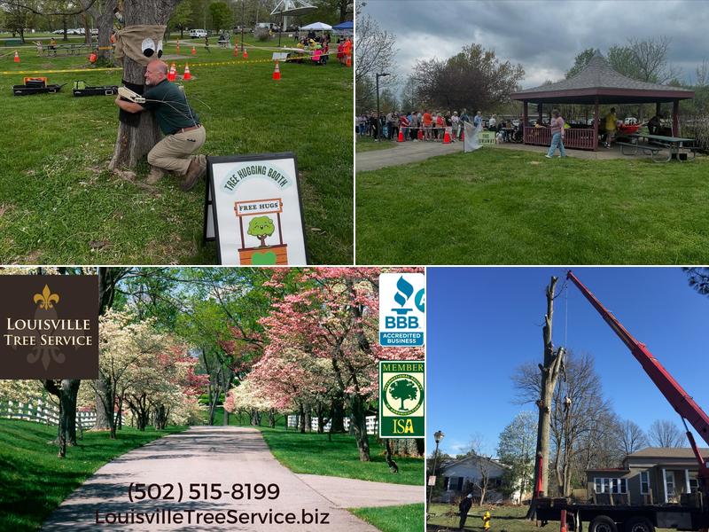 Louisville Tree Service, LLC
