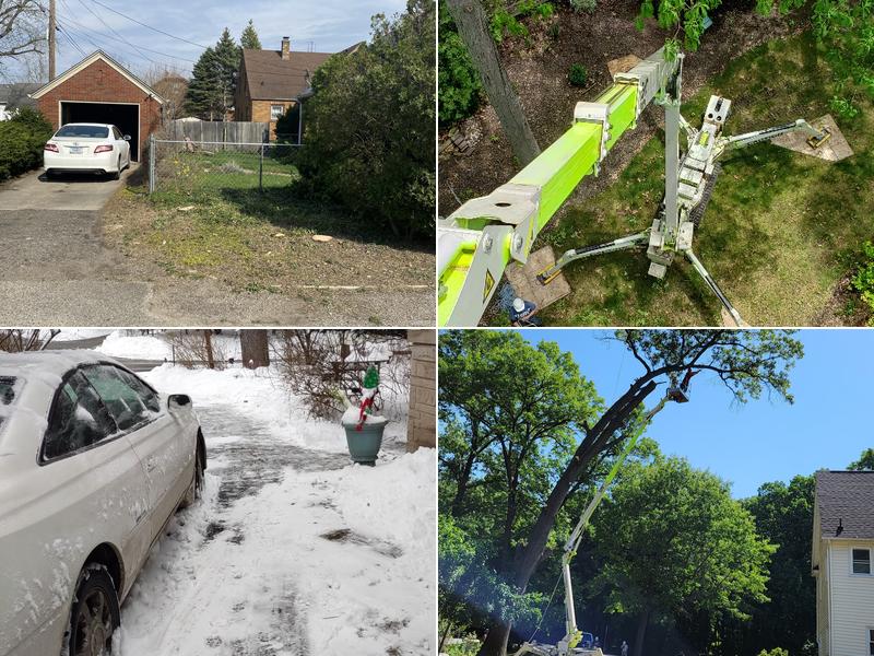 Knoll & Sons Tree Service