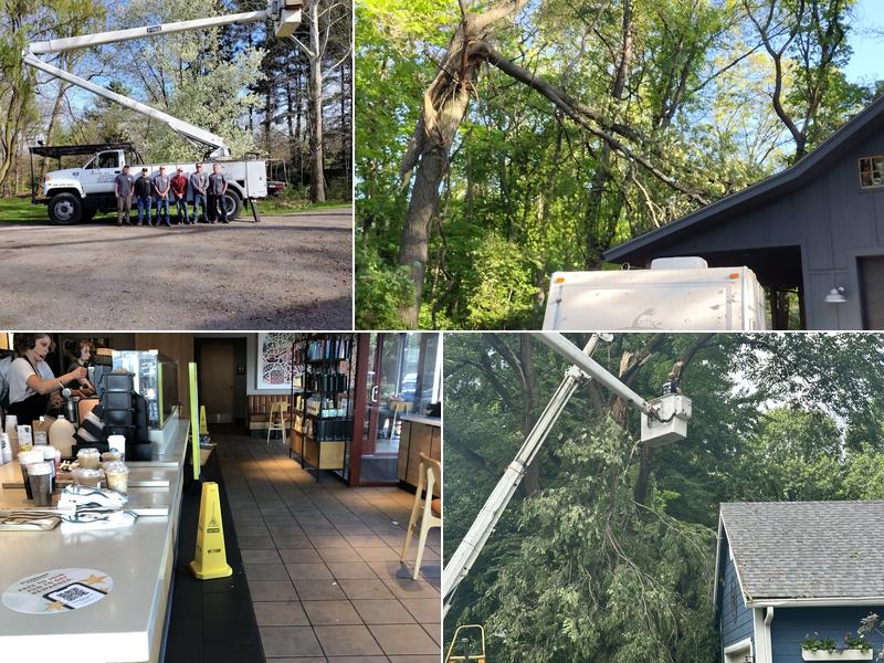 A-1 Loggins Tree Services