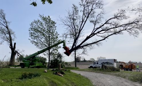 Cy's Tree Service 9569 US-151, Anamosa Iowa 52205