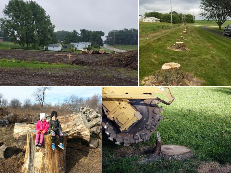 Keppler Tree Company - John Keppler