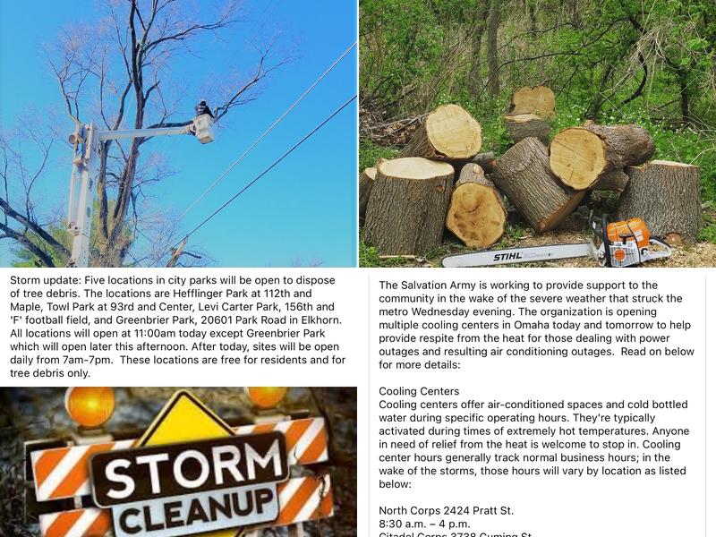 Cut and Grind Tree Care Omaha