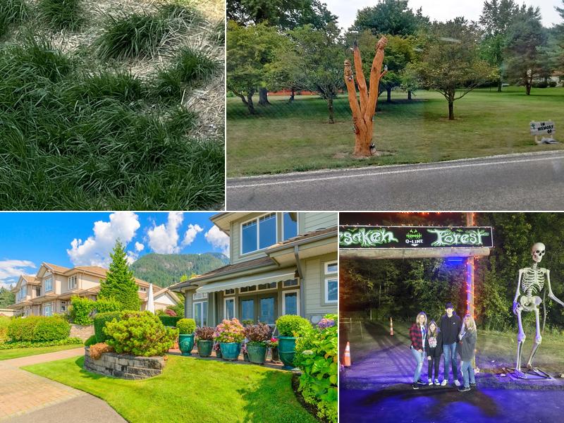 Rinehart's Lawn Care Landscaping & Snow Removal