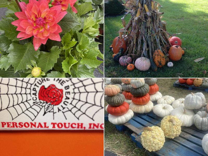 Webb's Personal Touch