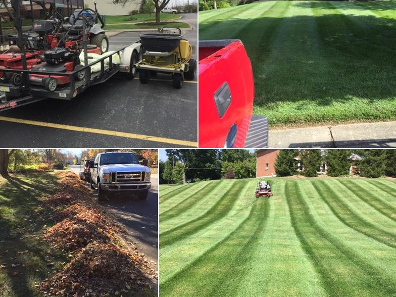 Terra Turf and Landscape