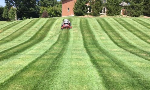 Terra Turf and Landscape