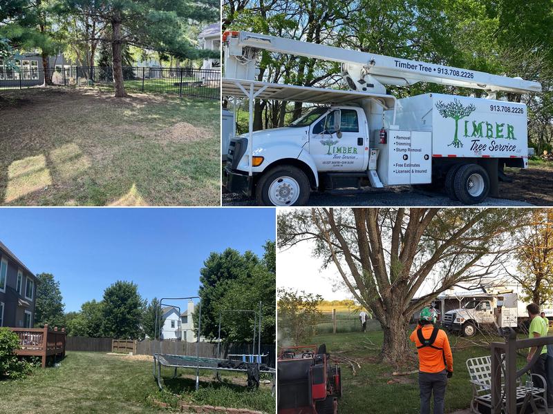 Timber Tree Service LLC