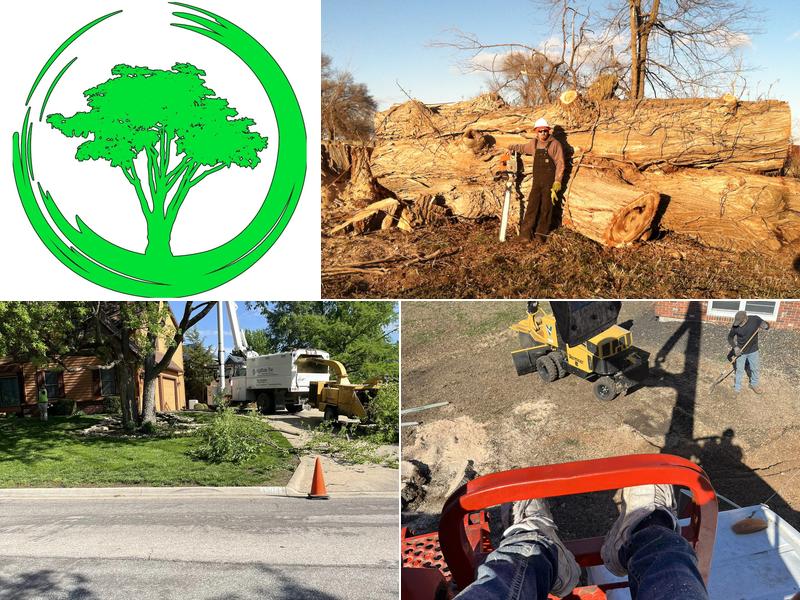 Proficient Tree Care