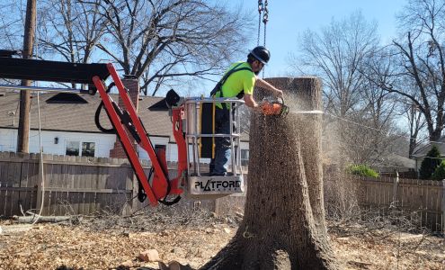 Monster Tree Service of Lee's Summit 14014 MO-7, Greenwood Missouri 64034
