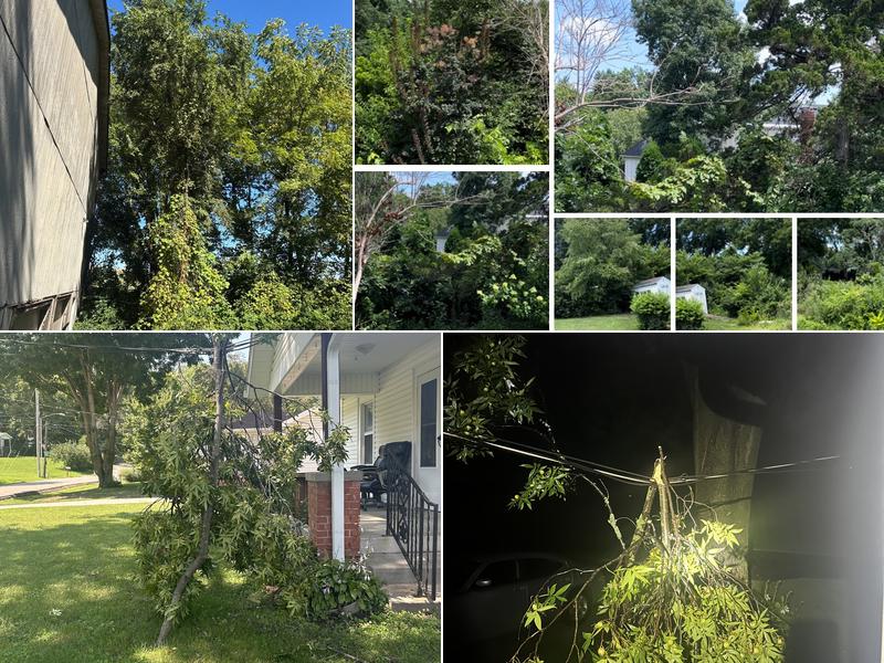 Hunters Lawn Care & Tree Service