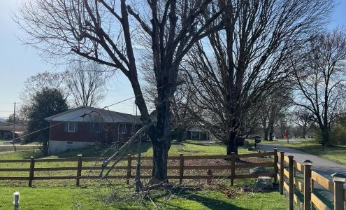 Somerset Stump & Tree Removers