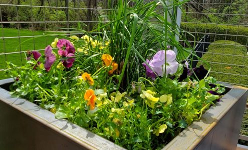 Green Living by Design + Green Living Market