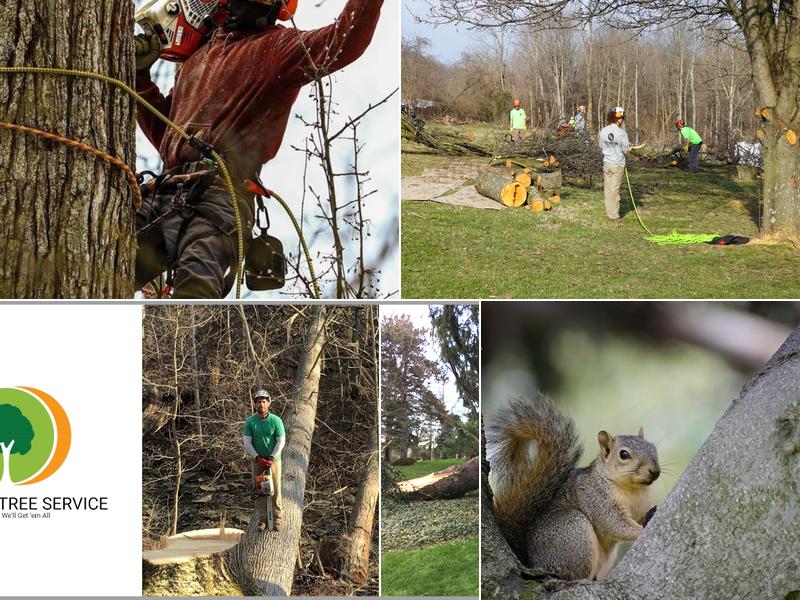 Go-Getter Tree Service